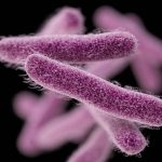 7 أمراض ناجمة عن البكتيريا